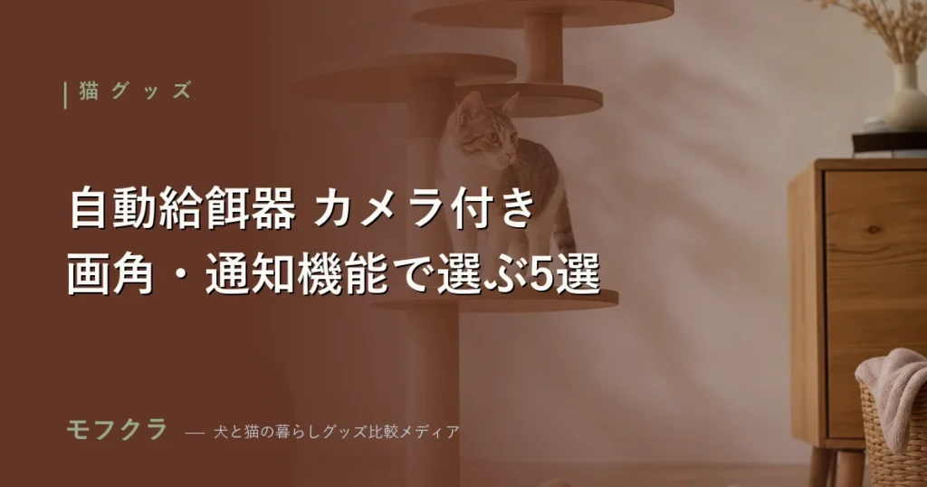 猫のカメラ付き自動給餌器おすすめ5選を比較するアイキャッチ画像