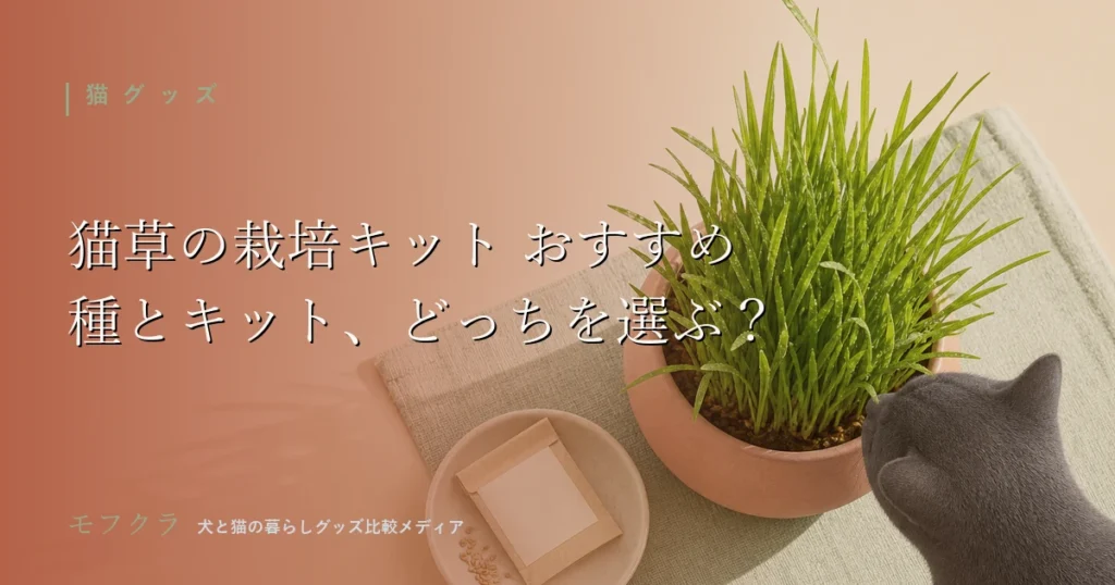 猫草の栽培キットと種の選び方を比較したアイキャッチ画像