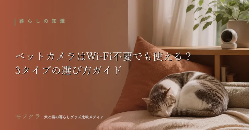 窓辺でくつろぐペットと見守りカメラのイメージ画像
